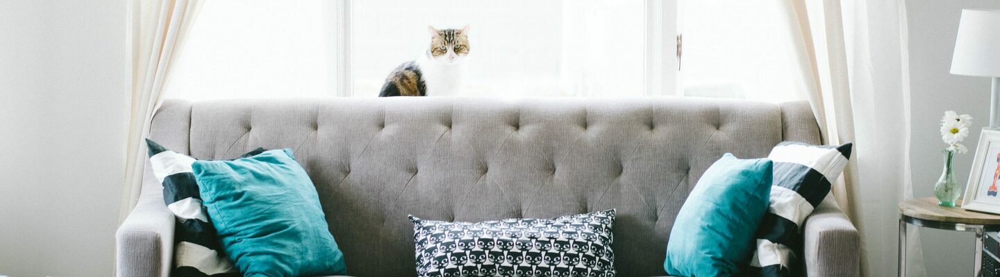 ulp nodig bij het vinden van uw ideale woning?