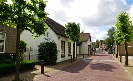 IMG_0328